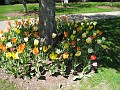 Mackinaw Island Area May 2008 0721